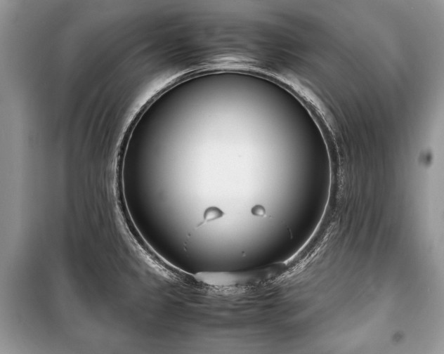X0000100981333200806241533