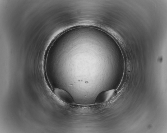 X0000100981334200806241533