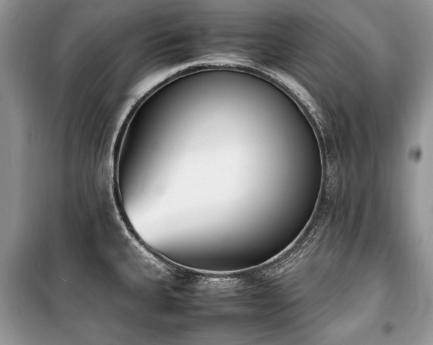 X0000100981335200806241533