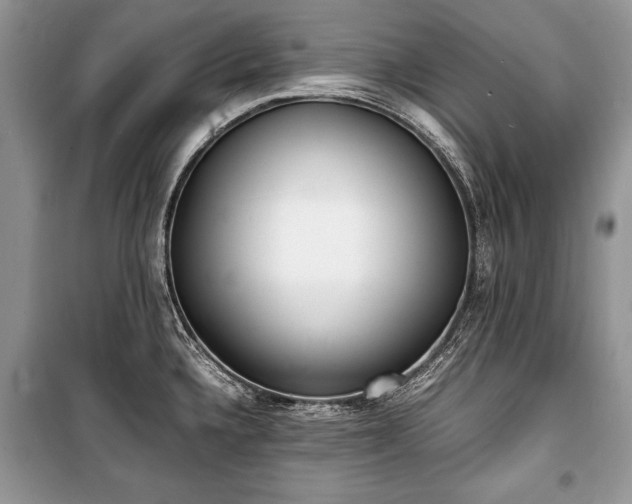 X0000100981336200806241533