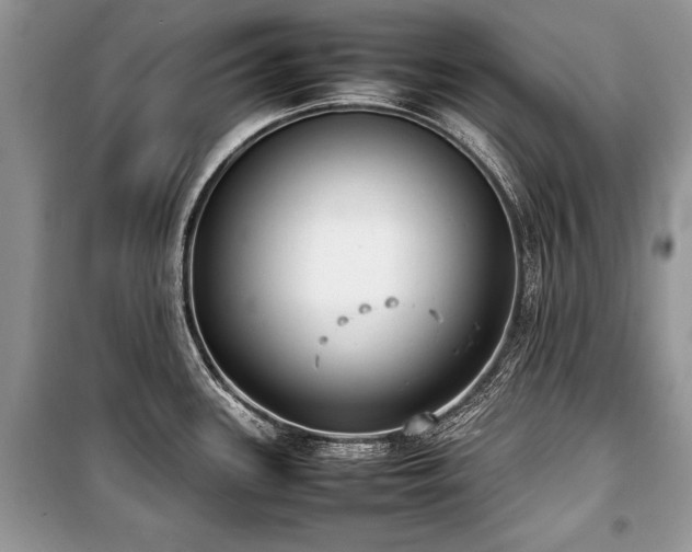 X0000100981339200806241533