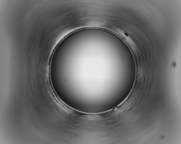 X0000100981340200806241533