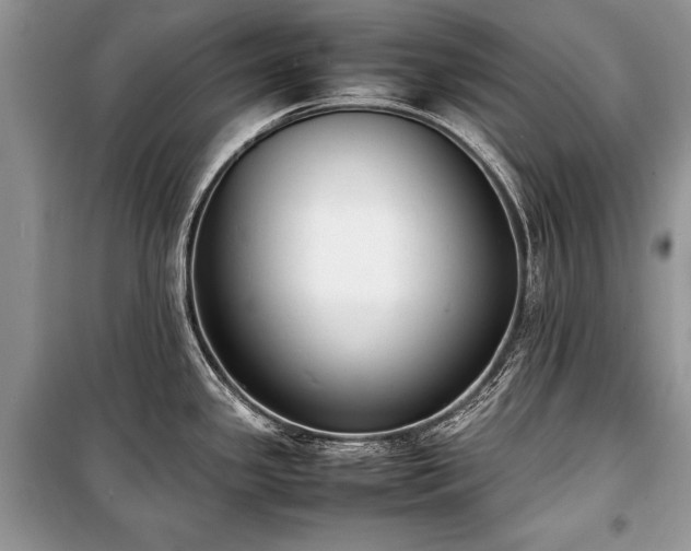 X0000100981341200806241533