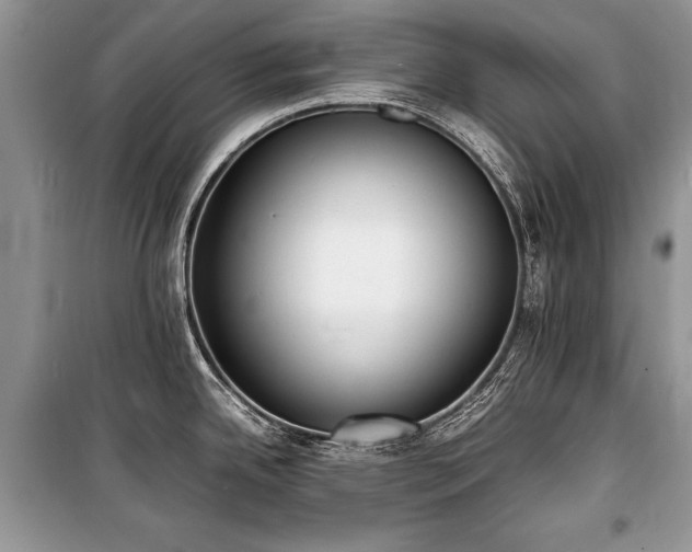 X0000100981342200806241533
