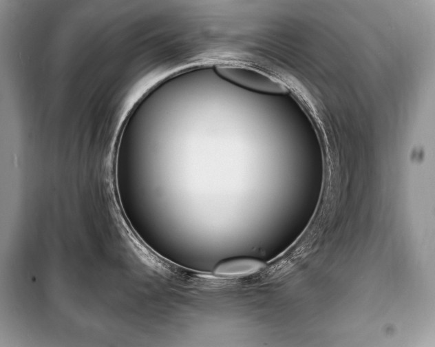 X0000100981344200806241533