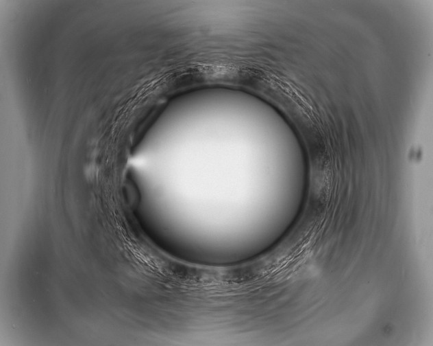 X0000100981345200806241533