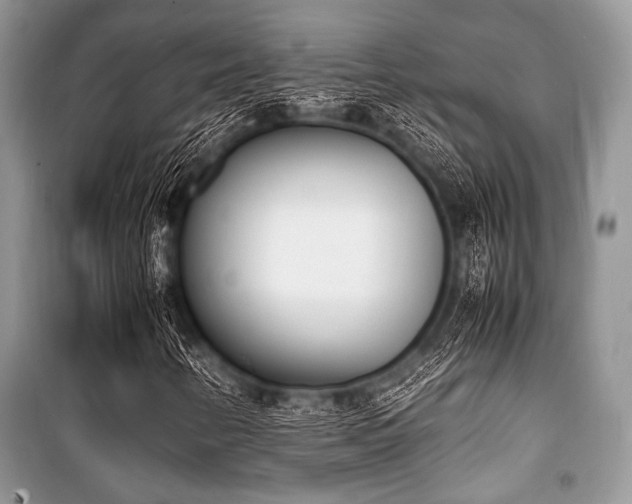 X0000100981346200806241533