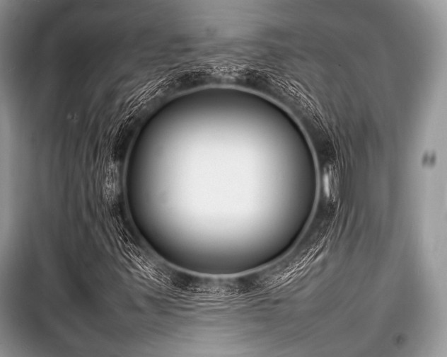 X0000100981347200806241533