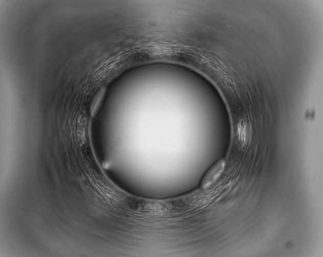 X0000100981348200806241533