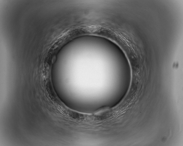 X0000100981349200806241533
