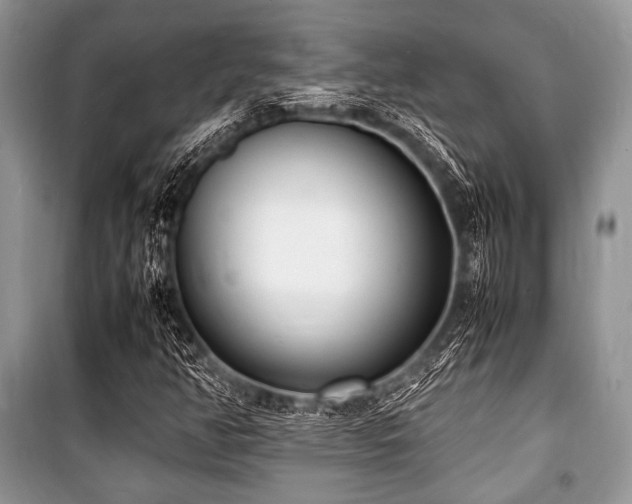 X0000100981350200806241533