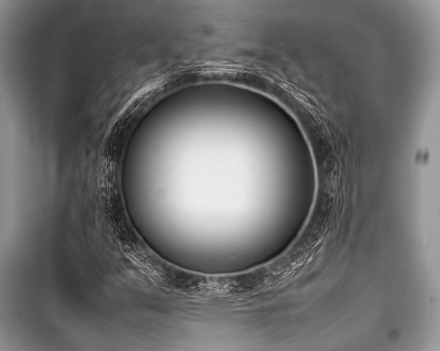 X0000100981351200806241533