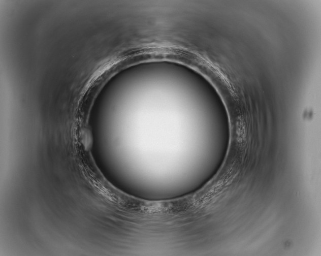 X0000100981352200806241533