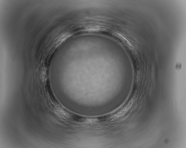 X0000100981353200806241533