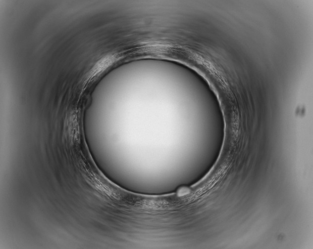 X0000100981354200806241533