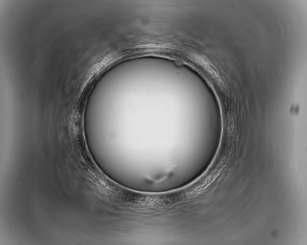 X0000100981357200806241533