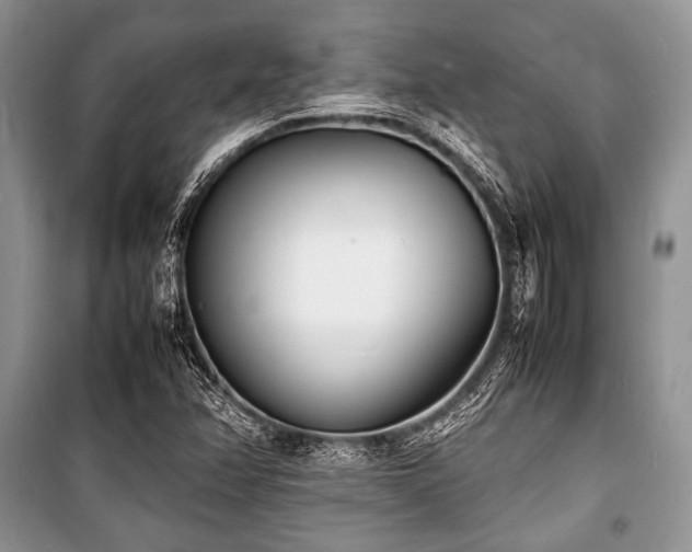 X0000100981358200806241533