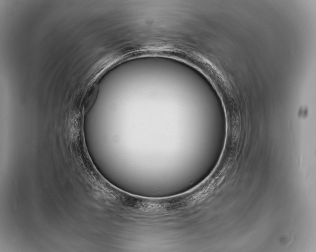 X0000100981361200806241532