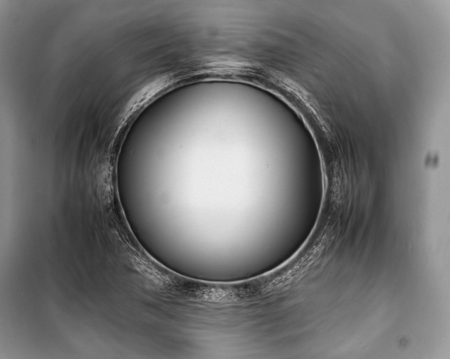 X0000100981362200806241532