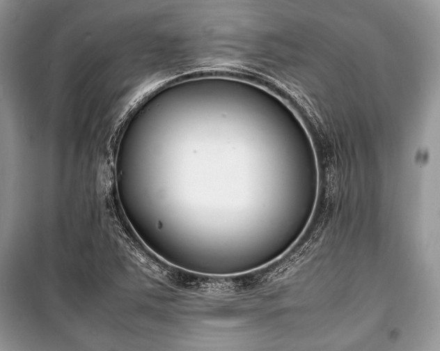 X0000100981363200806241532