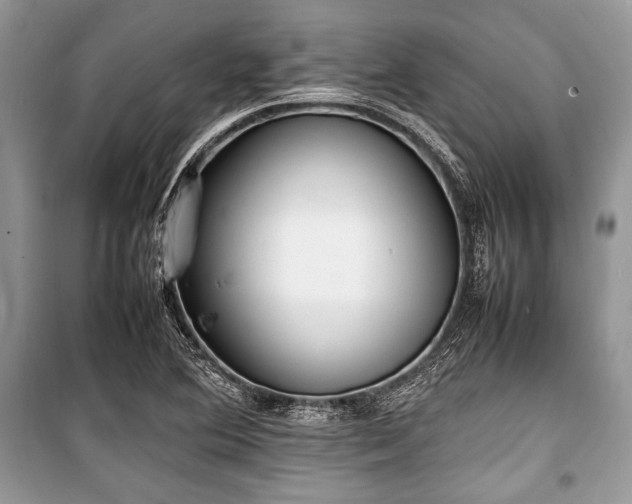 X0000100981364200806241532