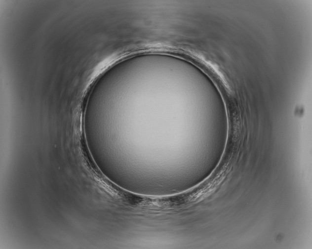 X0000100981365200806241532
