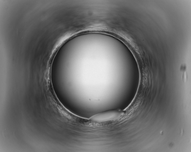 X0000100981366200806241532