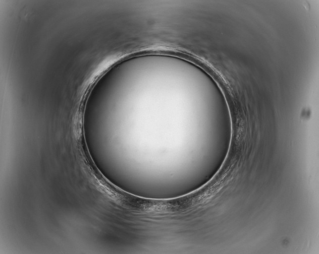 X0000100981367200806241532