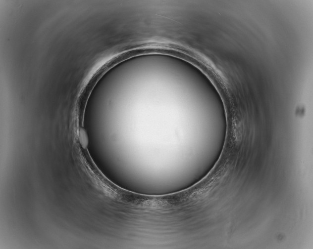 X0000100981368200806241532
