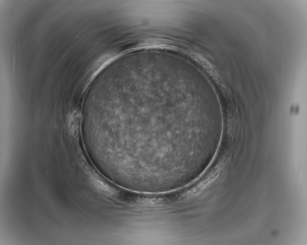 X0000100981369200806241532