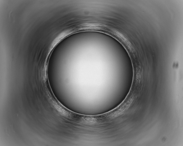 X0000100981370200806241532