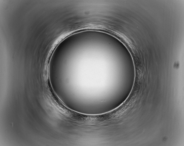 X0000100981371200806241532