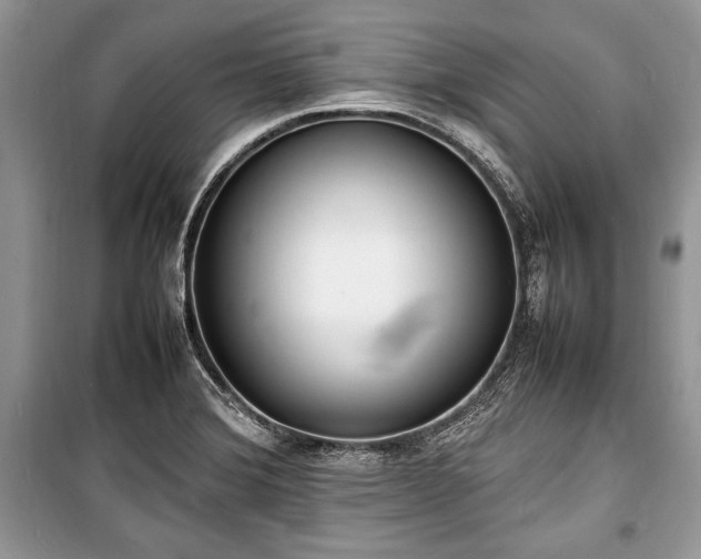 X0000100981372200806241532