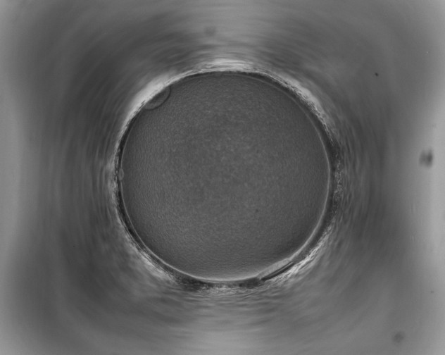 X0000100981373200806241532