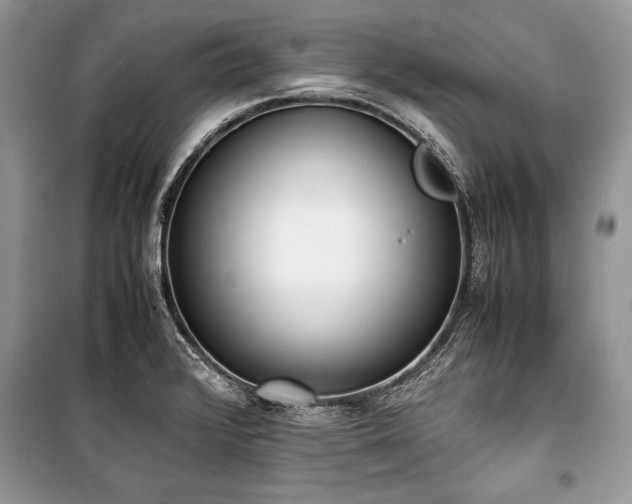 X0000100981376200806241532