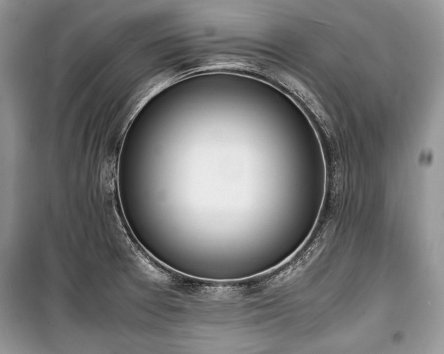 X0000100981377200806241532