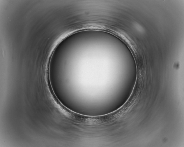 X0000100981379200806241532