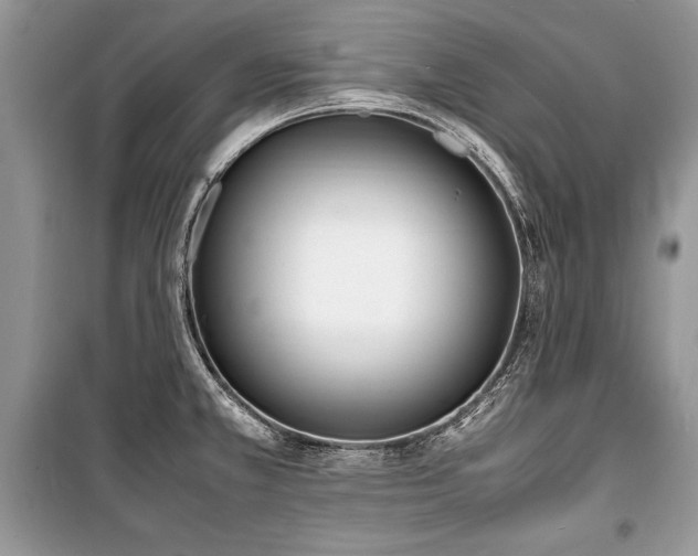 X0000100981381200806241532