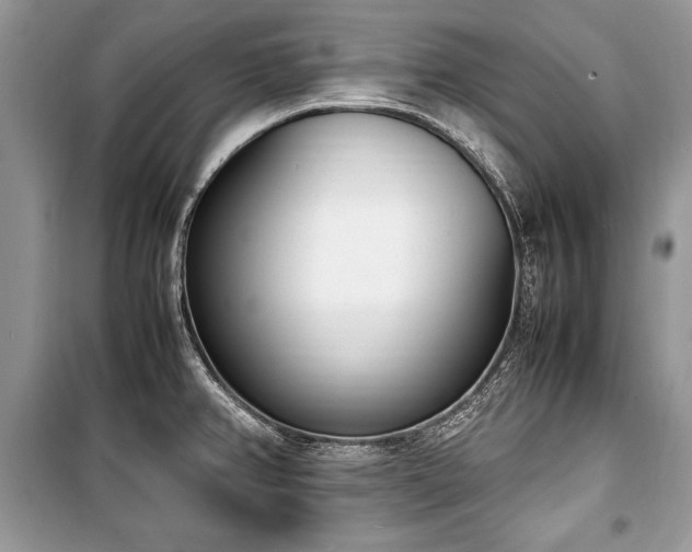 X0000100981382200806241532