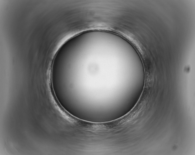 X0000100981383200806241532