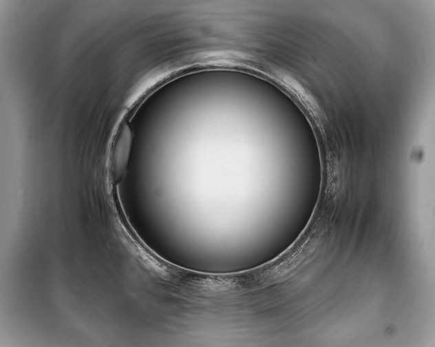 X0000100981384200806241532
