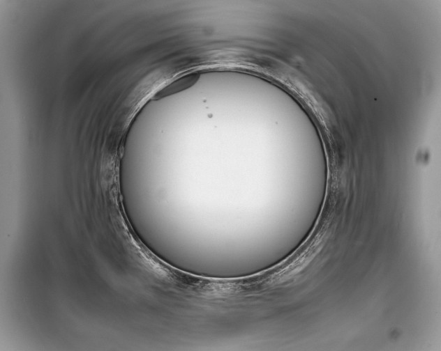 X0000100981385200806241532