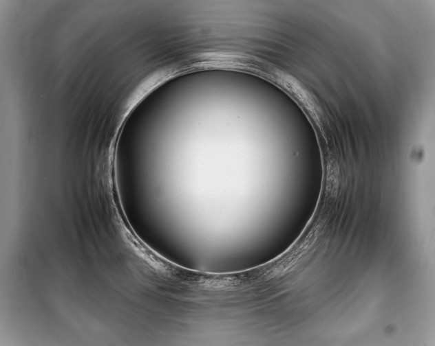 X0000100981386200806241532