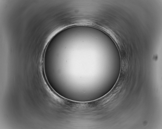 X0000100981387200806241532