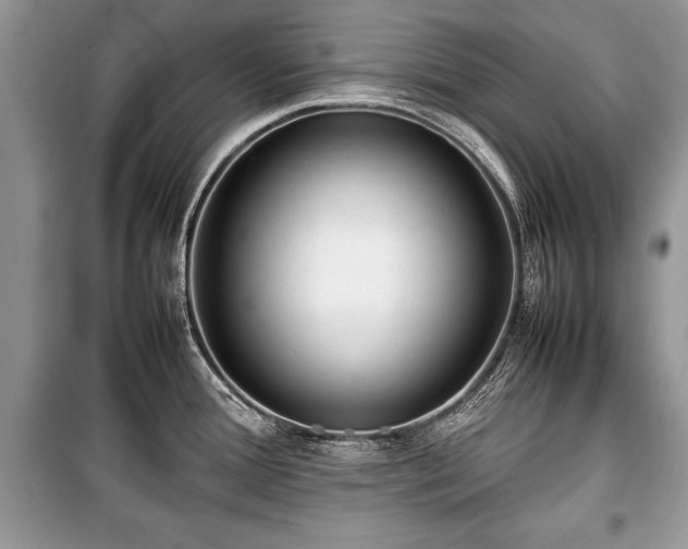 X0000100981388200806241532