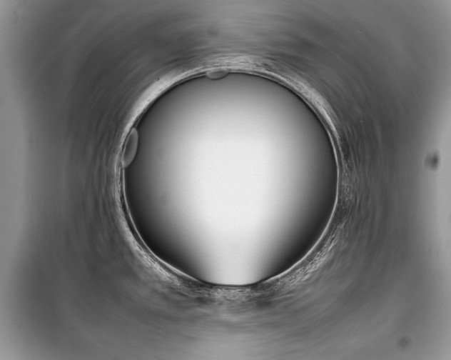 X0000100981389200806241532