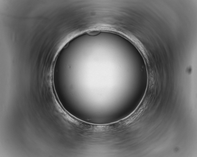 X0000100981390200806241532