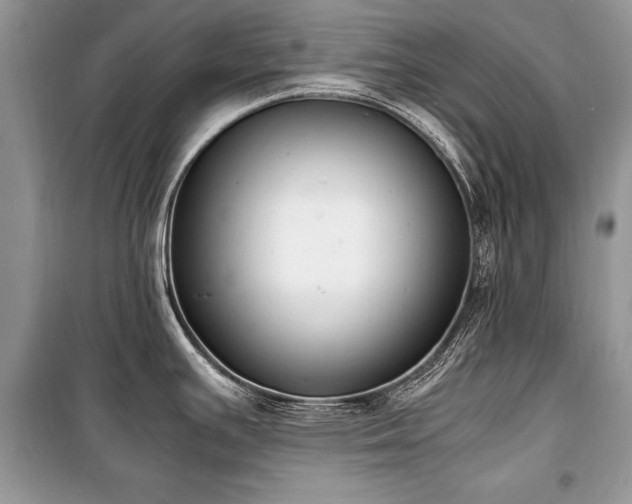 X0000100981391200806241532