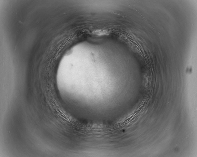 X0000100981393200806241531