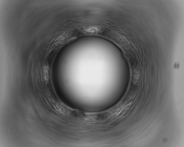X0000100981394200806241531